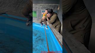 fish fishtank entertainment fatherhood fatherson