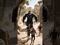 القط زعطور انقذ الناس القطه فائقه الثبات القطط حكايه تخصك 