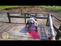 Red Dead Redemption 2 Slow Motion Kills PC 60 FPS - Funny Brutal