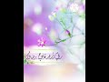 نشيد رياض الجنة للمنشد عبد الله المهداوي رحمه الله Nasheed Islam نشيد رياض الجنة للمنشد عبد الله المهداوي رحمه الله Nasheed Islam