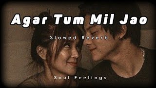 Agar Tum Mil Jao( Slowed Reverb ) || Soul Feelings || Resimi