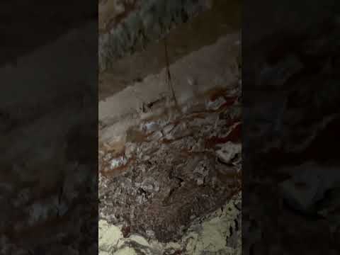 Secrets in a dark basement
