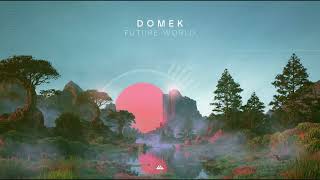 Domek - Future World