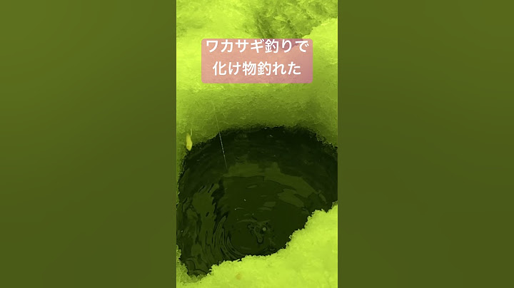 【化け物】ワカサギ釣りで化け物釣れた！#shorts #fishing #わかさぎ釣り #釣り女子　#釣りガール