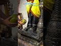 हनुमानजी रुद्राभिषेक 🔱🔱 #trendingshorts #ytshorts #rudrabhishek