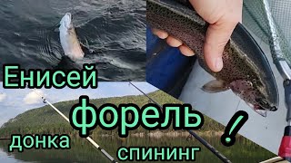 видео: Оторвался по форели, рыбалка на Енисее! картинка: Оторвался по форели, рыбалка на Енисее!