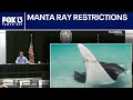 FWC tightens rules on giant manta ray captures