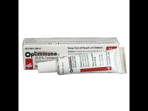 Video: Optimmune, Cyclosporine Ophthalmic Ointment - Listahan Ng Gamot Ng Alagang Hayop