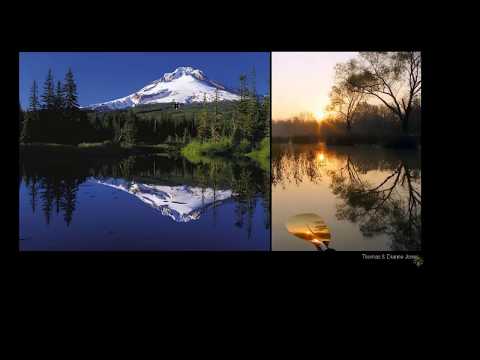 სარკისებრი და გამბნევი ანარეკლი