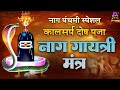    2022  naag gayatri mantra      ritupriya mishra