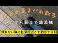 【作業向け配信】秋葉原から朝まで歩き続ける散歩【東京散歩】| Walking Tokyo
