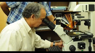 Mounir Laroussi research on Plasma Medicine