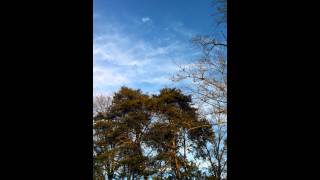 Drone lifting rope to top of tree to lift star