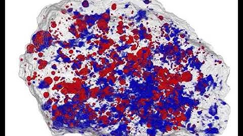 Combining neutrons, X-rays, scientists study meteorites to explore how Earth acquired its water
