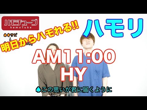 【ハモチューブ】AM11:00 / HY 〜ハモリ練習用〜