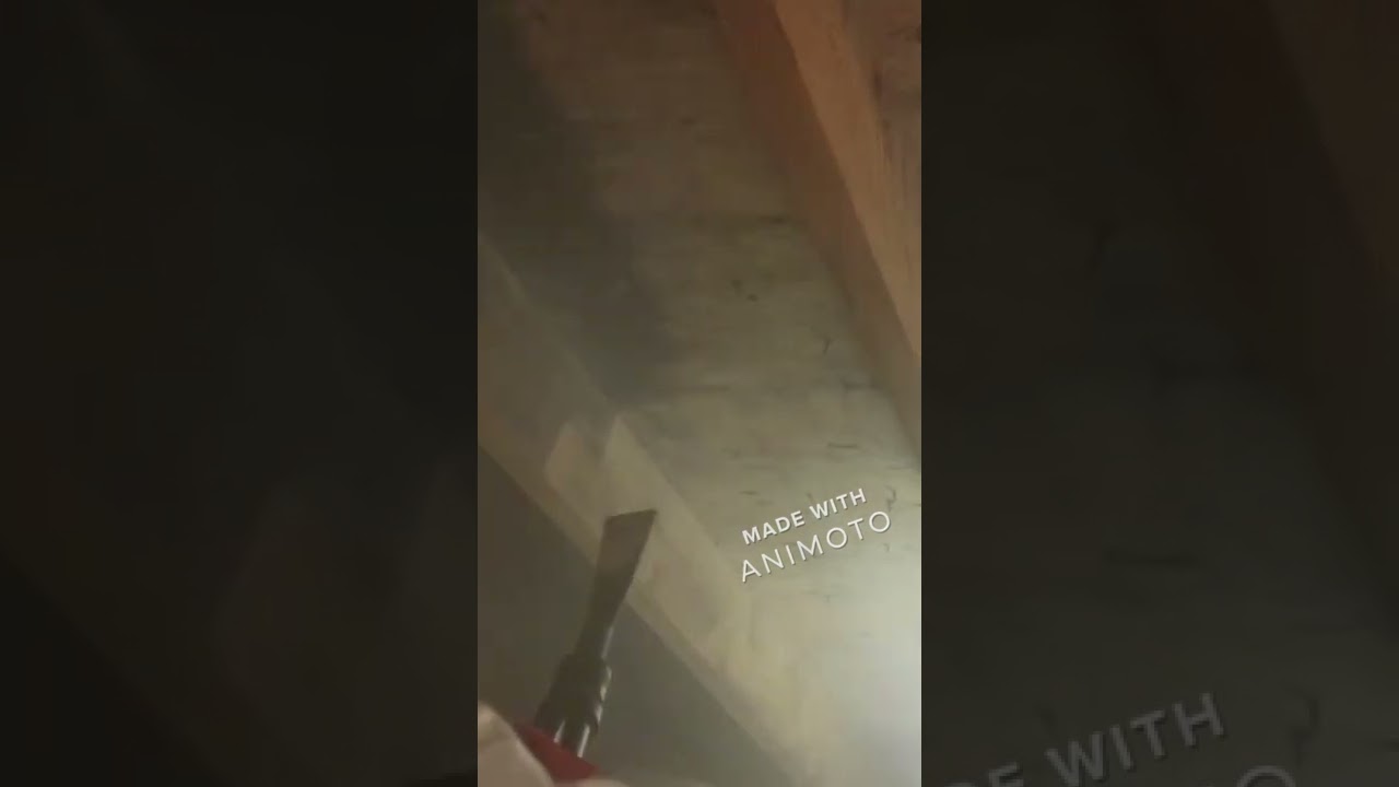 Certified Mold Remediation Services - PCI PRO Services