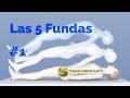 Ayurveda - Las 5 Fundas - Espanol - Ep. 1 de 8