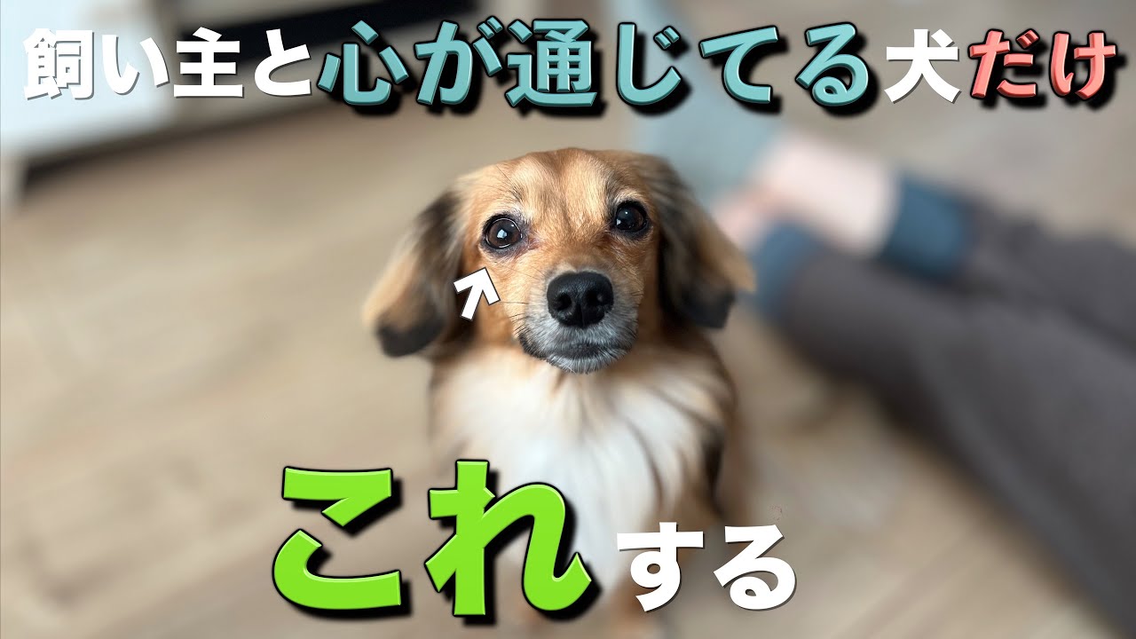 Dn7wvbuqom5 Bm Dn7wvbuqom5 Bm
