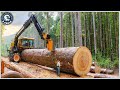 199 Incredible Fastest Big Chainsaw Cutting Tree Machines
