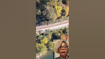 Skydiving gone wrong omg #skydiving #skydive #shortvideo #shorts #videoreaction #gonewrong