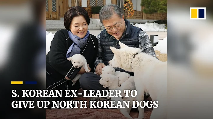 Former South Korean leader Moon Jae-in to give up ...