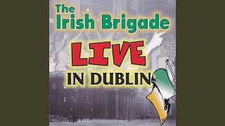 Video thumbnail of "The Irish Brigade - My Old Man's a Provo (Live)"