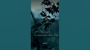 سورة الكهف-المنشاوي #المنشاوي #تلاوة_خاشعة #quran #relaxing #rain