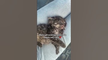 For Any Support Click Our Link In Bio To Help. All Pledges You Make To Support Are Appreciated!🙏