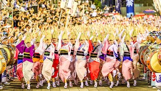 【2023】特別観覧席から見るド迫力の阿波踊り- Awaodori Japan in 4K