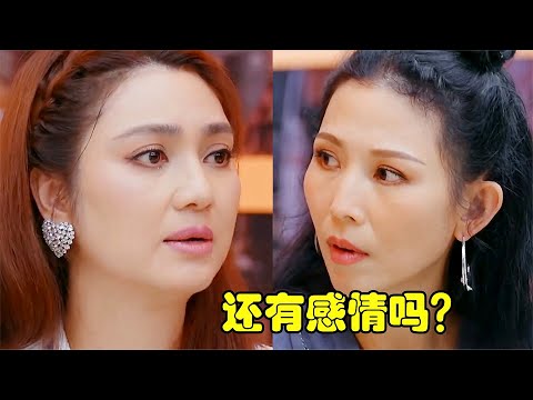 蔡少芬问洪欣：对张丹峰还有感情吗？洪欣的回答，蔡少芬都愣住了