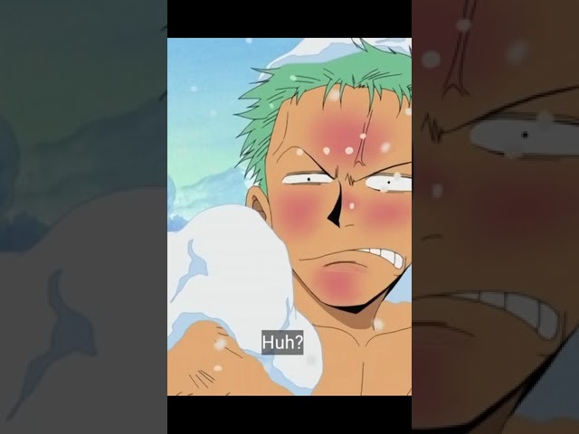 Vivi slapped Usopp so had that even Zoro couldn't recognize him class=