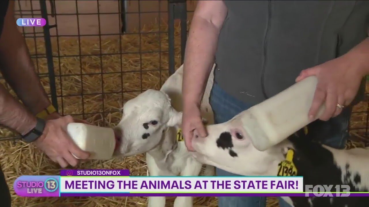 State Fair Animal Shows State Fair Animal Shows
