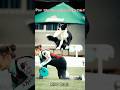 ⚡ Fastest Frisbee Dog Ever? 🐶🚀#trollface #cr7 #troll #fyp #edit #phonk