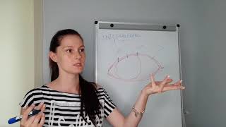 Построение базовых схем. Построение базовых схем.
