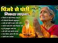 पिंजरे से पंछी निकल जाएगा | O Paapi Man Karle Bhajan | Latest Nirgun Bhajan 2026 | #nirgunbhajan2026