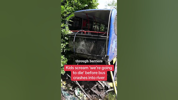 Kids scream ‘we’re going to die’ before bus crashes into river #themirror #news