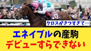 【悲報】「エネイブルの産駒、デビューすらできない…」に対する競馬民の反応集