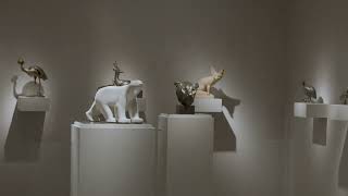 Highlights Fine Arts 6