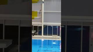 103C Diving Video