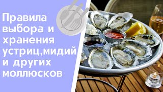 Правила выбора и хранения устриц, мидий и других моллюсков