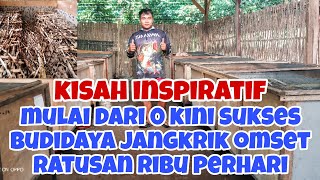 TERNAK JANGKRIK,KINI  OMSET RATUSAN RIBU PERHARI