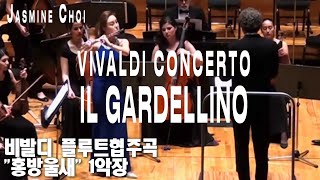 Vivaldi Concerto 