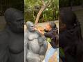 Gorilla 🦍 ke naak me ungali fas gayi 😱😂#shorts