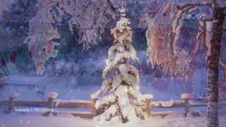 Video thumbnail of "I'm dreaming of a White Christmas - ALDO BLAGA"