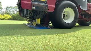 Ninja Tines SOLIDS in Action