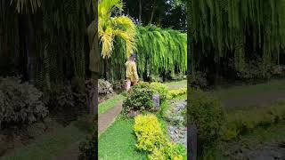 Reminiscing #travelvlog #Pinoyvlogger #beautifuldestinations