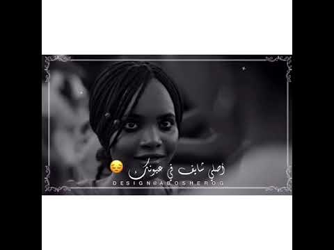 سهر القوافي عمر محي الدين الابيض ضميرك