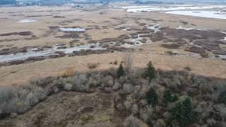 Mystery of Gibson Island