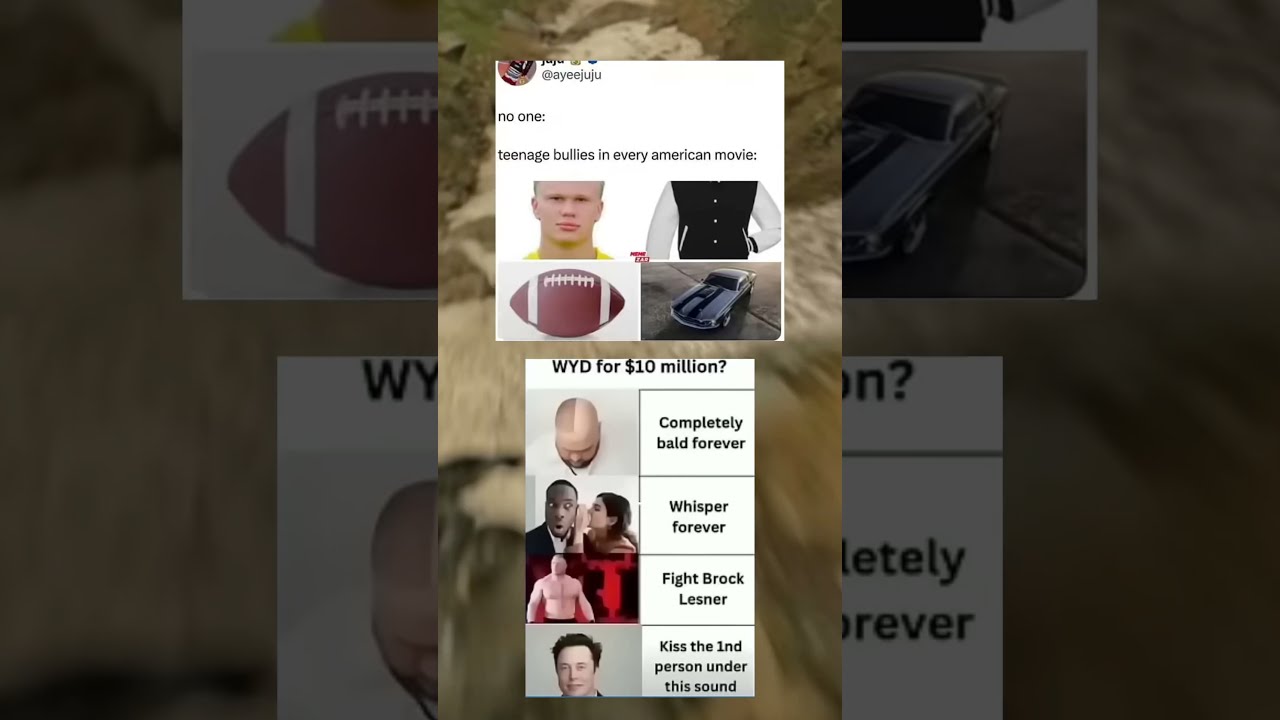6p Memesdaily Zyxabc Funnymemes Funny