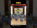 究極の猫かくれんぼに挑戦
